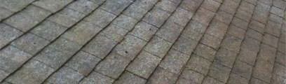 Roof Moss Treatment service for Seattle and Portland
